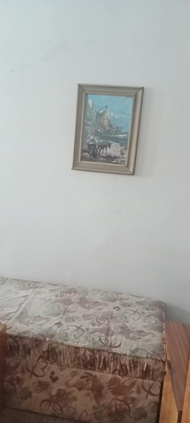 245180279_208343248067069_6064345449246575008_n