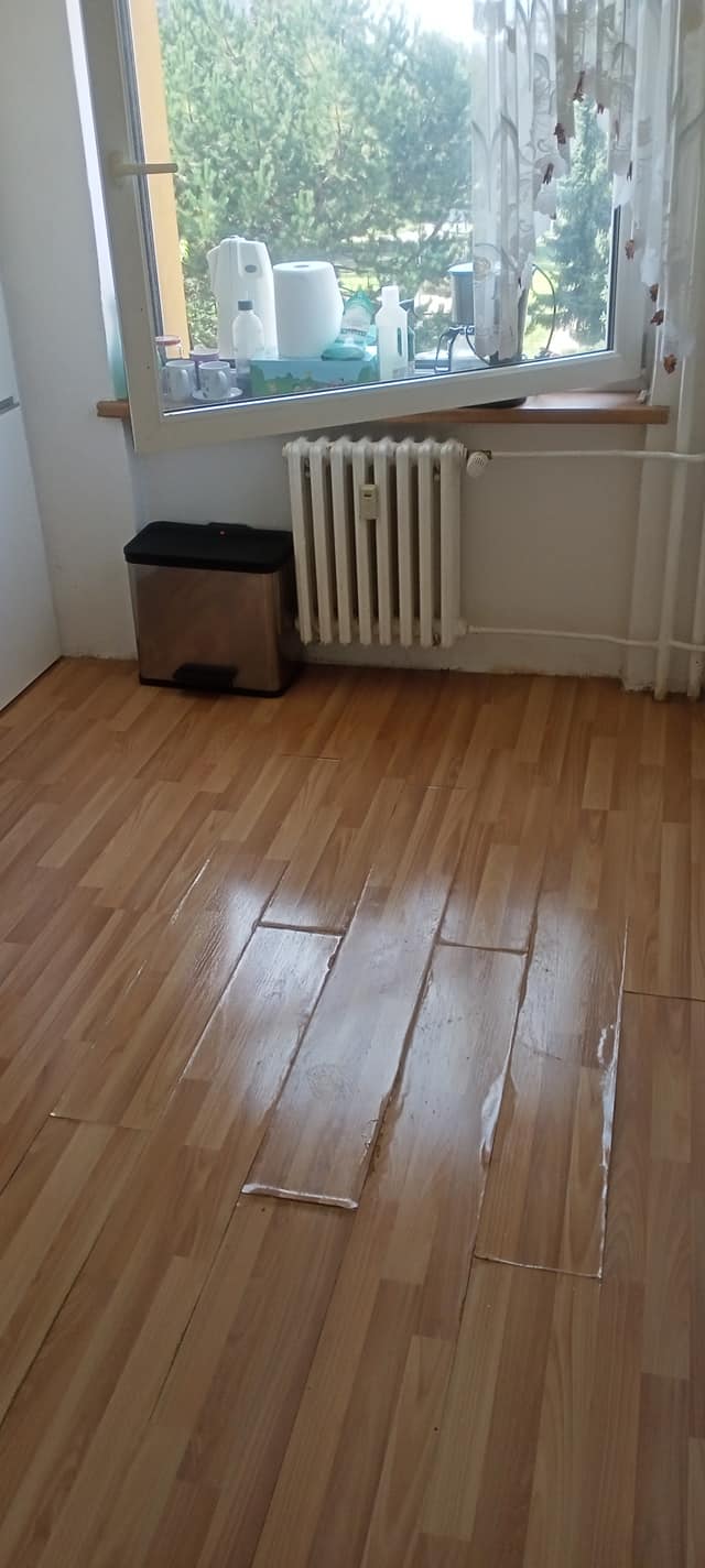 243018829_197421402492587_7450206183990648181_n