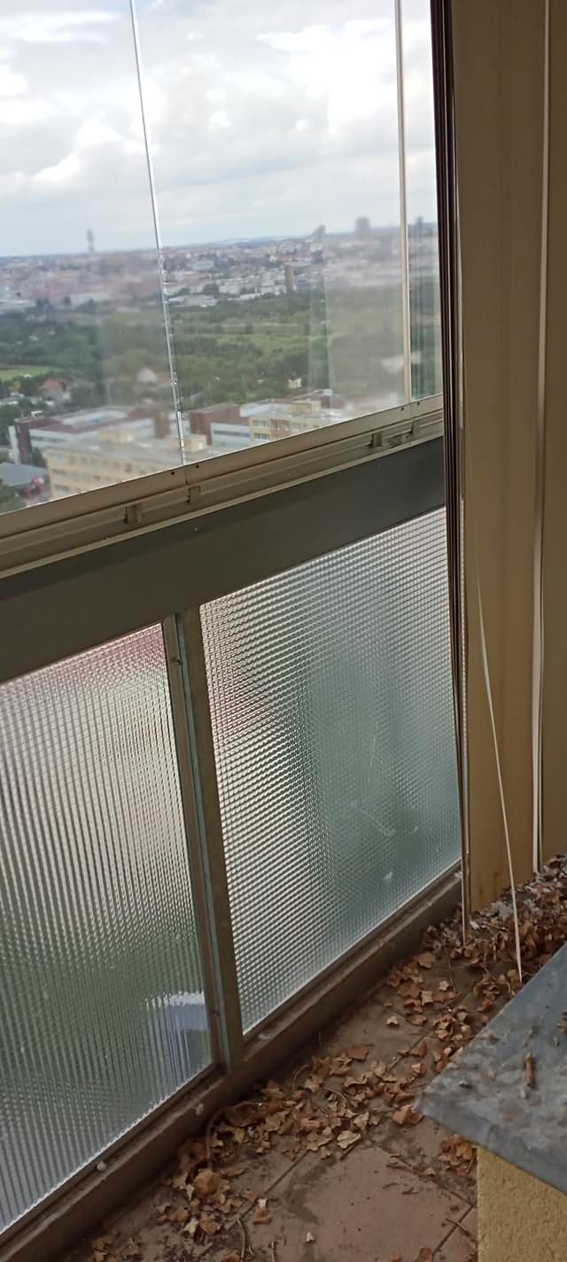 228416923_161197186115009_447721764624848798_n